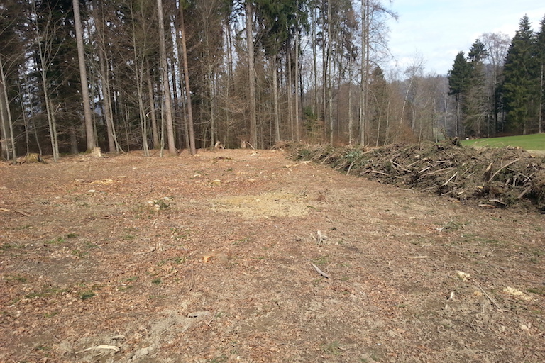 Schlagraeumung_768x512