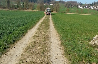 Abranden vorher_380x247